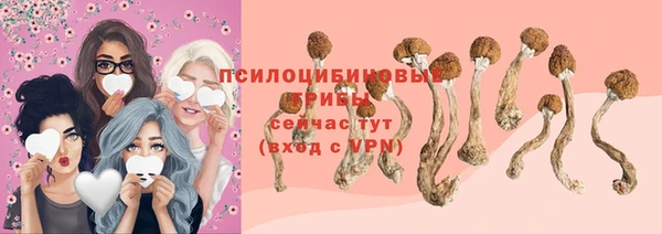 прущая мука Елизово