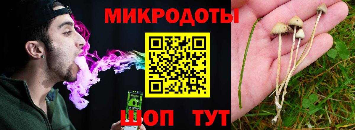 сколько стоит  Вход с VPN  Галлюциногенные грибы прущие грибы  Ирбит  Галлюциногенные грибы Cubensis 
