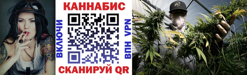 как найти закладки  shop какой сайт  Марихуана сатива  Ирбит 