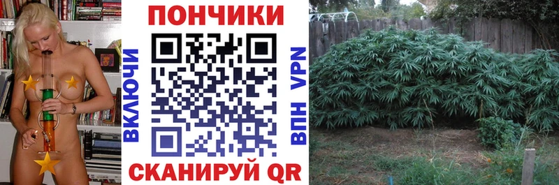 Каннабис марихуана Ирбит